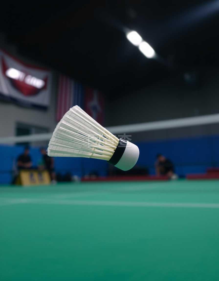 业生涯辉煌 业生涯辉煌