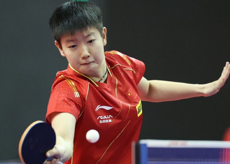 正是对他们 正是对他们