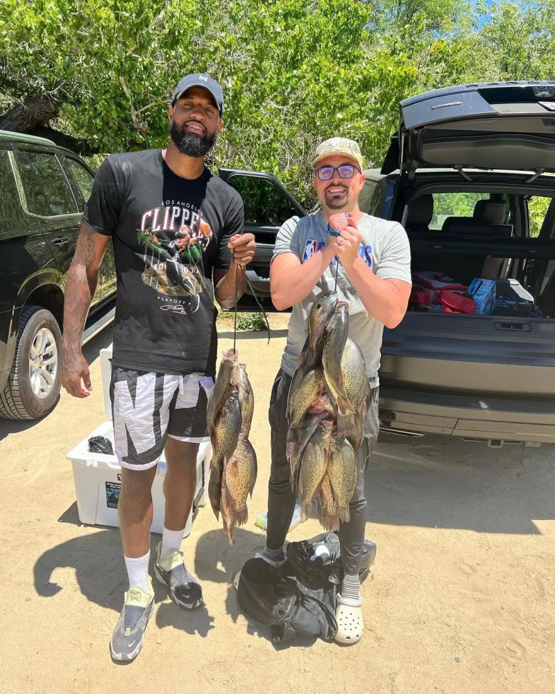 如果你需要 如果你需要