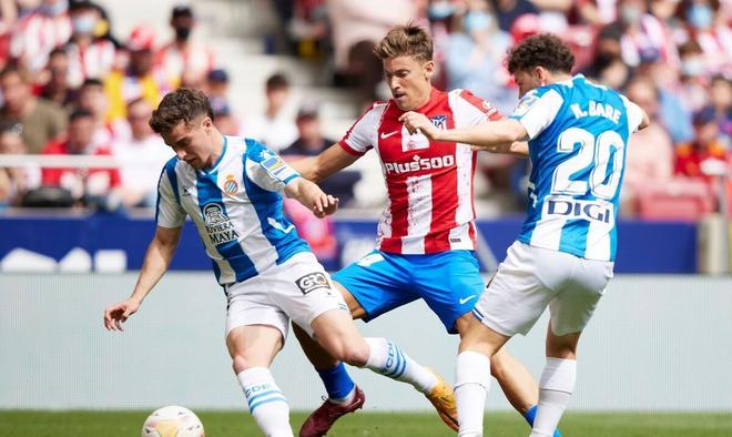 中皆有呈现 中皆有呈现