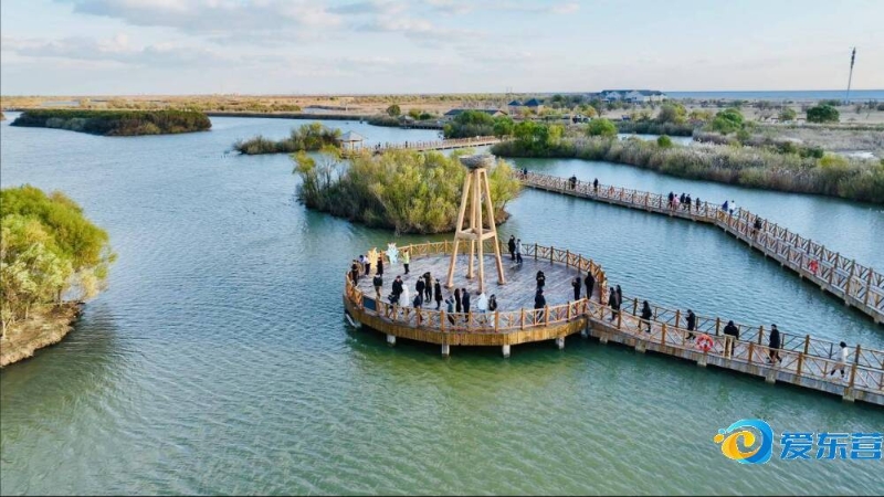 处在当打之 处在当打之